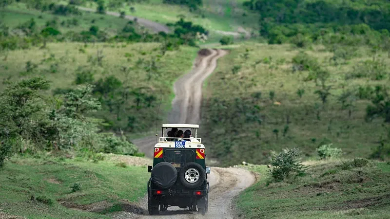 Best Kenya Safaris: 8 Top places for the ultimate safaris in Kenya