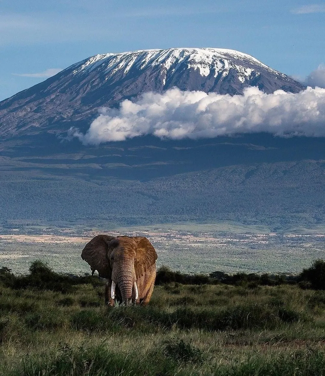 Amboseli visit can I do this from Arusha instead of Nairobi?