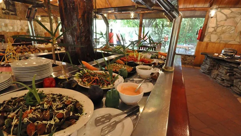 for migration next year， which camp?