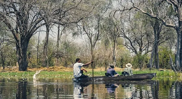 How Much Does a Botswana Safari Cost? 2026 Price Guide