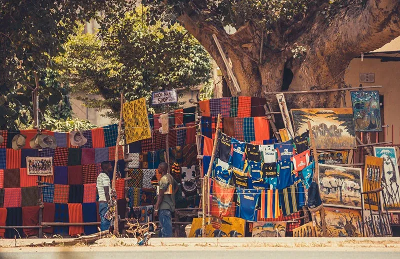 How Much Does a Tanzania Safari Cost? The Ultimate 2026 Price Guide