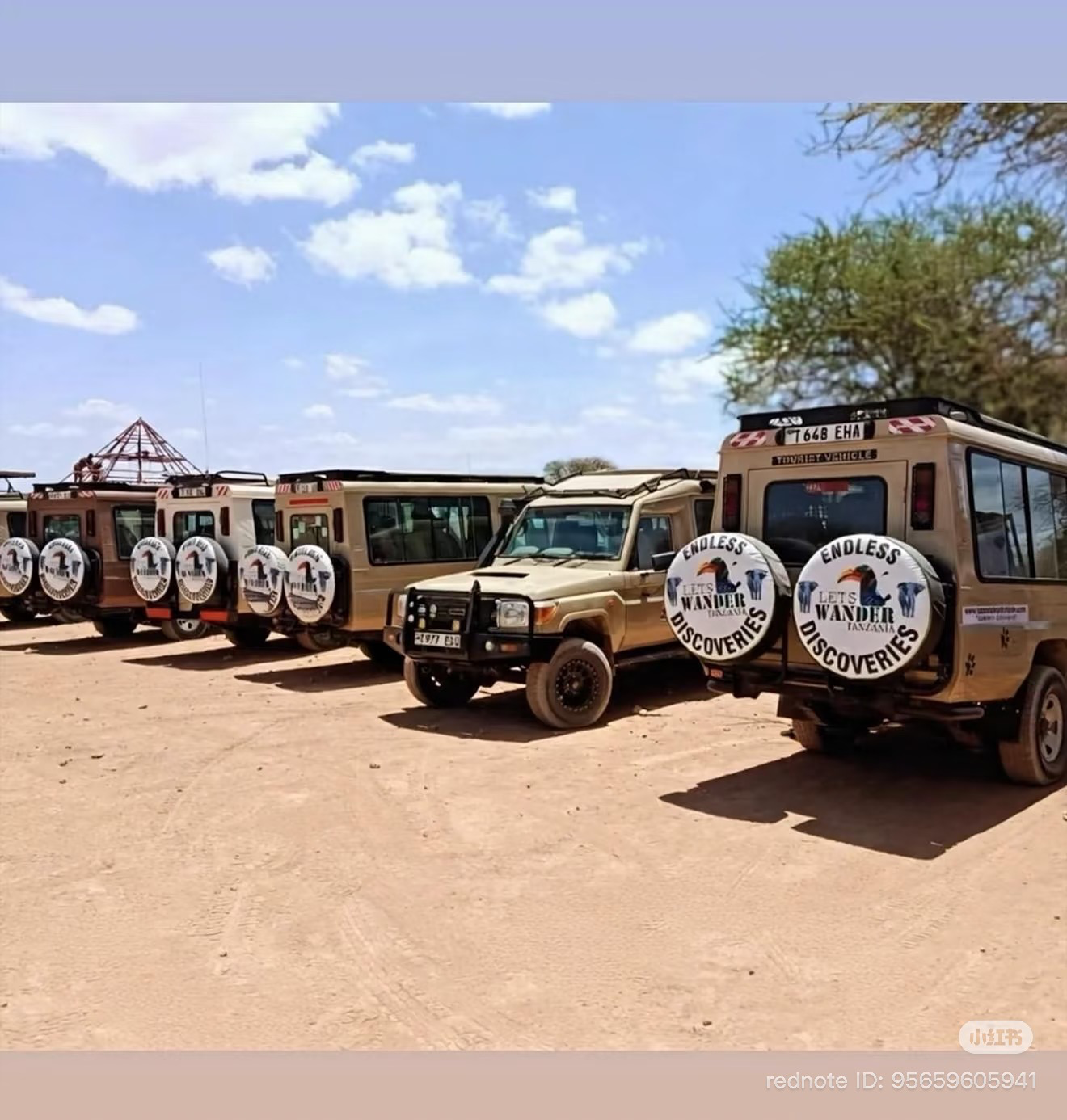 Tanzania wildlife safari