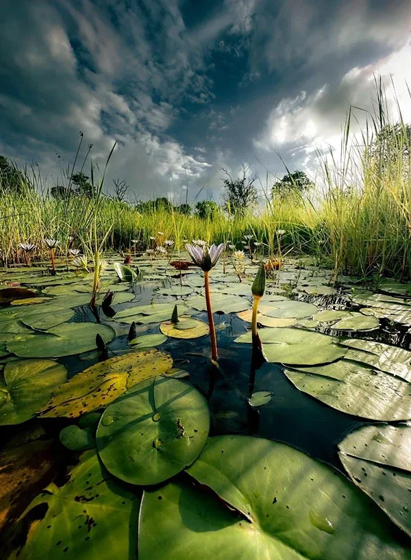 is jan a bad time for Okavango?