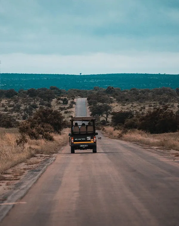 Safari Planning: Itineraries and Accommodation