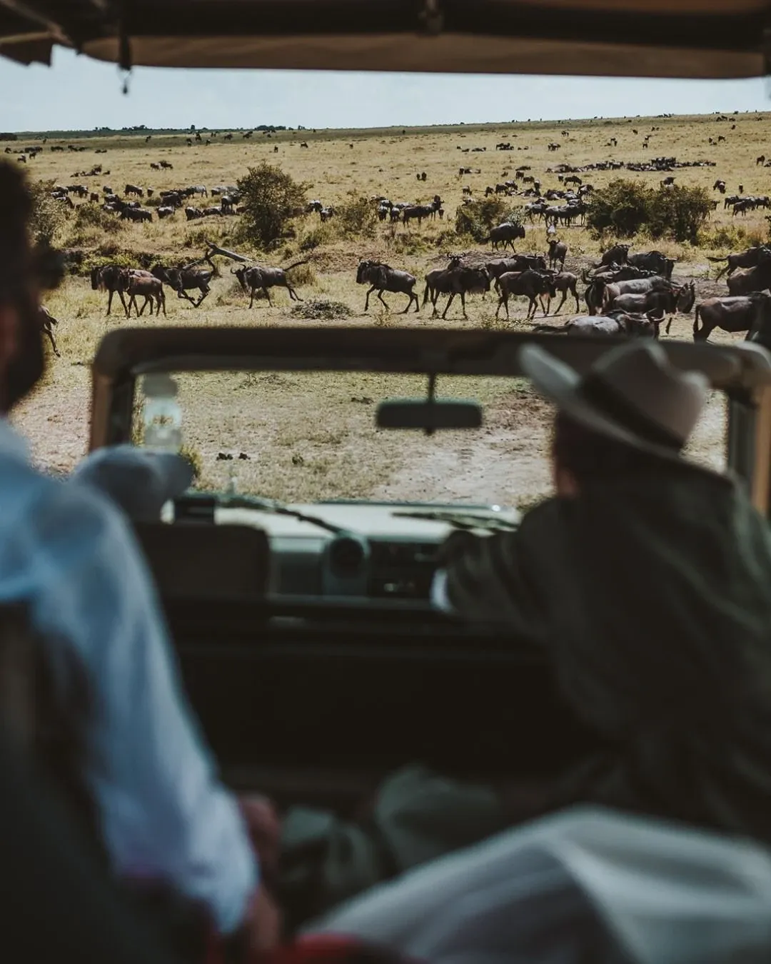 Overwhelmed Choosing a Tanzania Outfitter—Help!