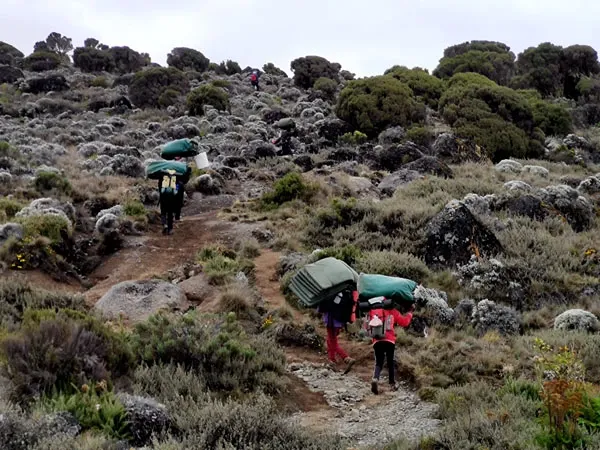 Кения - Танзания, посоветуйте как добраться.